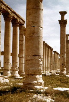 Vorschaubild Palmyra, Kolonnaden